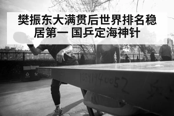 樊振东大满贯后世界排名稳居第一 国乒定海神针